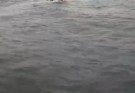 نجات ۲۲ نفر گردشگر دریایی توسط شناورهای جستجو و نجات بندر چابهار