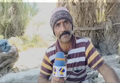 هجوم گرازهای وحشی به مزارع دهان و گوهرکوه؛ کشاورزان نیکشهر در شوک و گلایه هجوم گرازهای وحشی به مزارع دهان و گوهرکوه؛ کشاورزان نیکشهر در شوک و گلایه