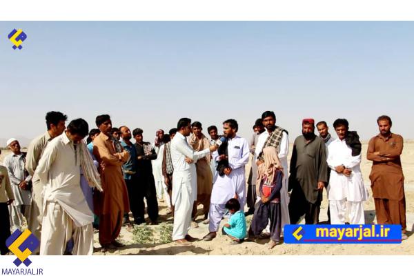 مزارعی که در پی بی‌آبی تلف می شود/  هشدار نابودی 3000 هکتار دست‌رنج کشاورزان بلوچ تا چند روز آینده+فیلم