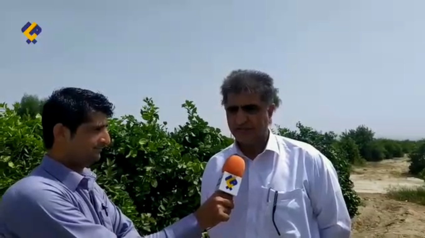 روایت میار جل از هندوستان کوچک بلوچستان/ ارتقای بهره‌ وری کشاورزی با آبیاری نوین در زرآباد+فیلم