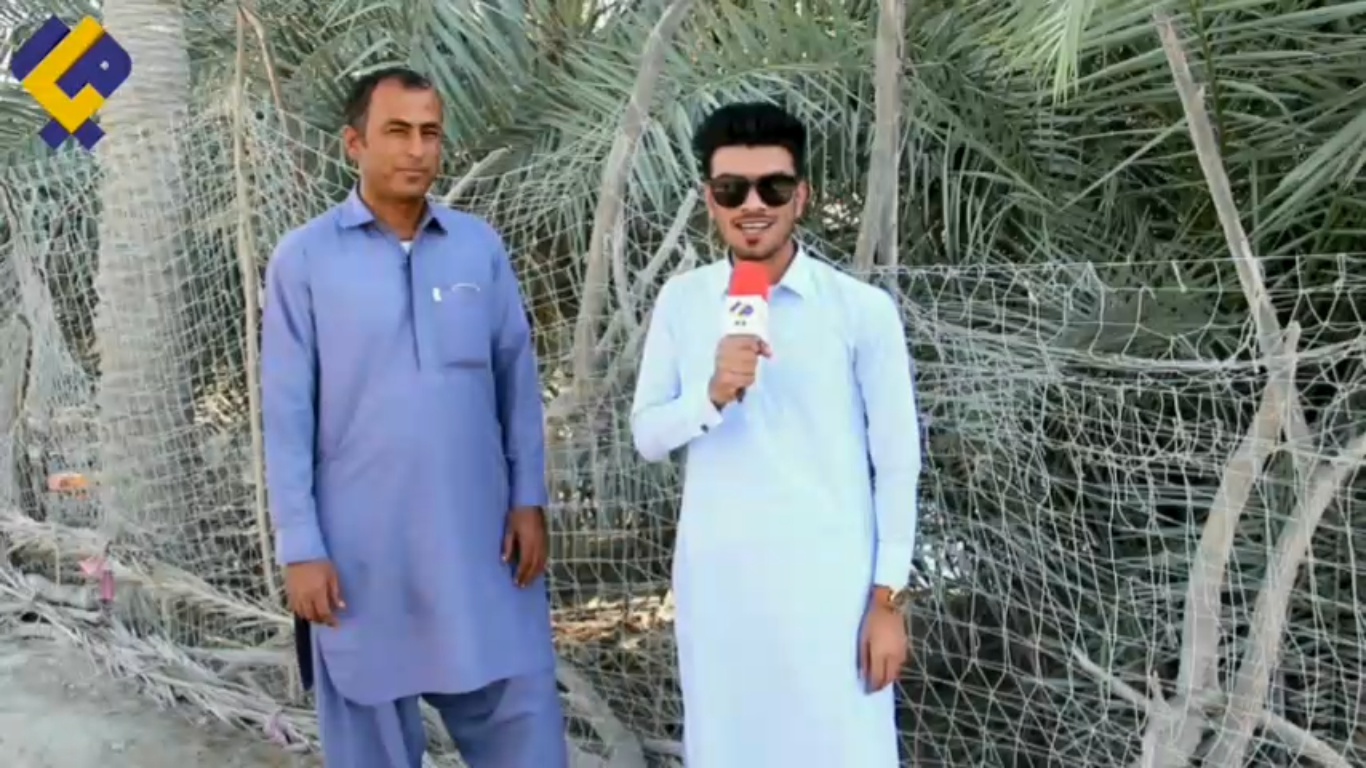 برق ناآرام مردم یک روستا در بلوچستان/ افت ولتاژ  امان مردم ملوک بازار  پلان را بریده است+فیلم