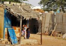 «جنگولک» بی سر و صدا سوخت/ ۳۰ خانوار حاشیه نشین بی خانمان شدند