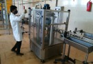 ایجاد اشتغال برای بیش از ١٢٠ مددجوی بهزیستی ایرانشهر
