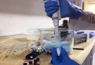 بخش میکروب‌شناسی آزمایشگاه منطقه آزاد چابهار آماده بهره‌برداری است