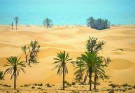 عکس روز/ منظره ای بی نظیر از تلاقی بیابان و دریا در ساحل درک