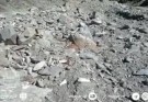 روستای که با دنیای خارج از خودش ارتباط ندارد/اهالی روستای موکی بالا نیکشهر چشم انتظار یاری مسئولین+فیلم