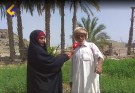 قطب کشاورزی نیکشهر، دهستان هیچان/ مسئولان بی توجه هستند+ فیلم