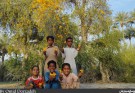 تصاویر| درخت پروک زیبایی منحصر به فرد روستای دسک نیکشهر