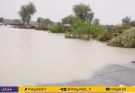 گزارش مردمی از مشکل راه شان در تلنگ؛ چرا مسئولان همت ندارند+ فیلم