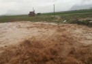 روستای دلشادی بازار قصرقند غرق در سیلاب، مردمش غرق در رنج و محرومیت+ فیلم
