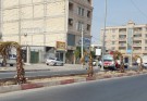 یادداشت| اولویت شهرداری چابهار تعویض درختان است؟!