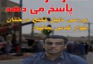 بررسی علل قطع درختان بلوار قدس چابهار