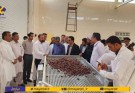 راه اندازی شرکت بسته بندی خرما با ظرفیت هزار تن در سال در شهرستان بمپور