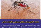 هشدار افزایش شمار مبتلایان  به بیماری مالاریا  در استان