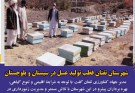 شهرستان تفتان قطب تولید عسل در سیستان و بلوچستان