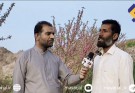 زندگی در دامنه‌های تفتان؛ سایه بی‌توجهی مسئولان و کمبود زیرساخت‌ها