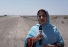 شترهای رها شده در بیابان ها و جاده ها در مسیر های منتهی به شهر دلگان