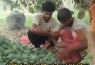 پسری خوش‌قلب از دیار پیرسهراب چابهار