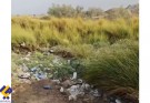 بزمان ءَ پوتاپ ءُ پ گرم ءَ "بھداشتی" جاورھال  سک نگیگ انت .