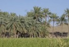 برگزاری تور یک‌روزه گردشگری در بخش دامن؛ طبیعت و تاریخ در آغوش هم