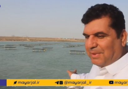 برای نخستین بار «پرورش ماهی در قفس» در دریای عمان کلید خورد