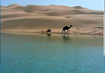 نگاهی گذرا به جاذبه‌های گردشگری کنارک