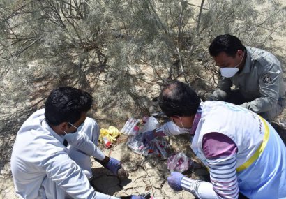 نمونه برداری مجدد از مرگ و میر پرندگان وحشی در زرآباد انجام گرفت/نتیجه بررسی مرحله اول در اختیار رسانه ها قرار می گیرد