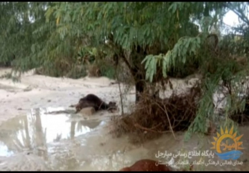 سیل در بلوچستان