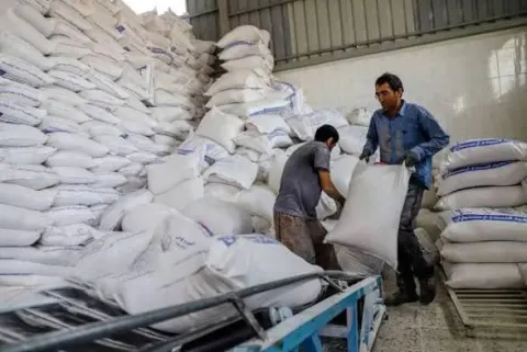 فرماندار ایرانشهر از پیگیری آرد آزاد و امانی برای نانوایی‌های ایرانشهر خبر داد